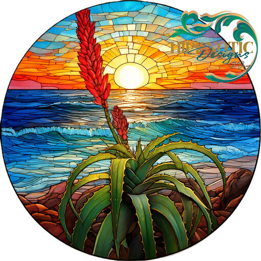 Aloe 4