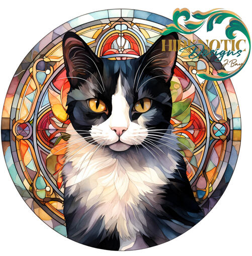 Tuxedo Cat 5